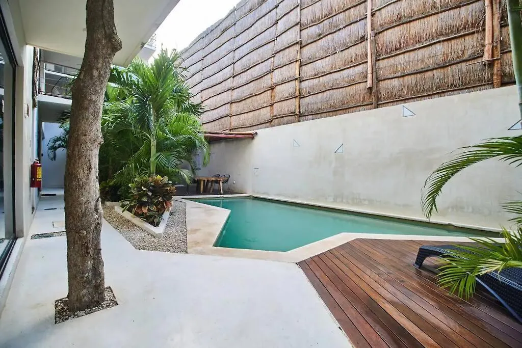 Saskab 10 Lovely 2Br Ph, Minutes From The Sea & Downtown! Tulum Apartment